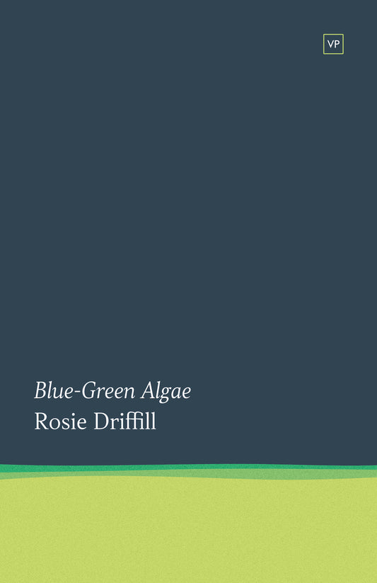 Blue-Green Algae